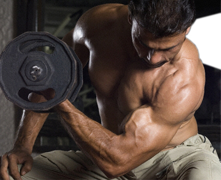 Bodybuilding Tips (@TipBodyBuilding) | Twitter