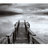 Erskine_Lindop's profile image