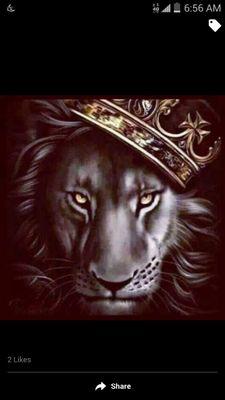 I love music all genres, I manage 3 artist and we are on the rise to fame with the end game in sight.