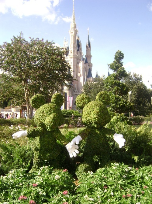disneyoldguy's profile picture. A late bloomer to Disney, my first real visit was in 2005.  Fell in love with the world.