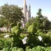 Disney Old Guy (@disneyoldguy) Twitter profile photo