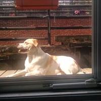 pankaj.ghosh (@rabbitholing) 's Twitter Profile