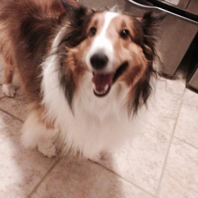 HepnerGary's profile picture. Author: Research Phase