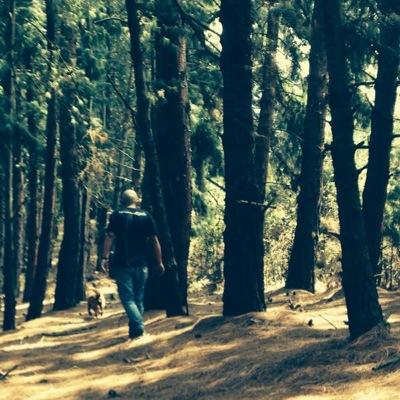 SergiosotelosS's profile picture. 