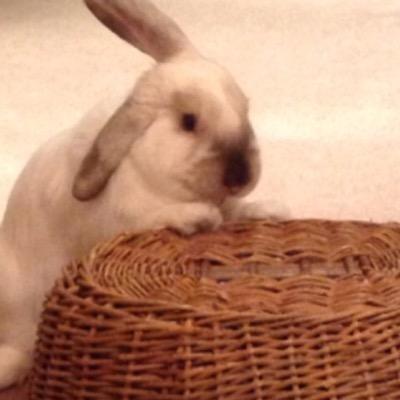 Anna21Schmidt's profile picture. 