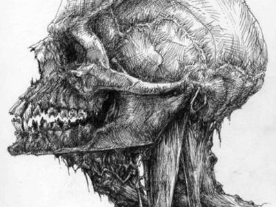 despard94's profile picture. Bui dipijak...Lngit di Junung..