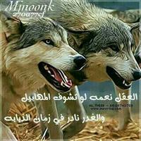 nwaf (@7ca253cd6ef646b) 's Twitter Profile