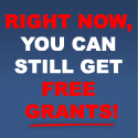 freegovgrants's profile picture. 
