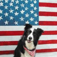Maddie Adams (@maddieadams75) 's Twitter Profile Photo Maddie Adams (@maddieadams75) 's Twitter Profile Photo