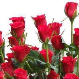 Arzu27Kilic's profile picture. 