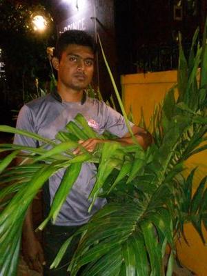 MMawzook's profile picture. 