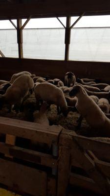 ditner_jeff's profile picture. 