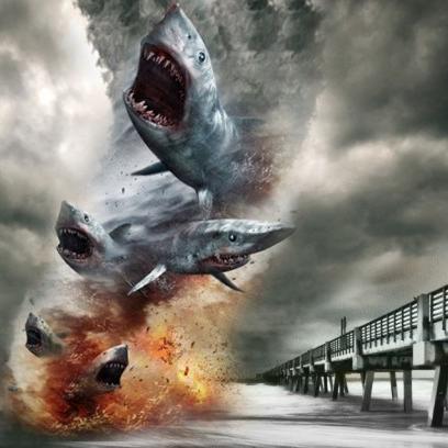 GOATnado's profile picture. FIFA addict turned Rocket League proselytizer. Member of October Sky, keep an eye on us.