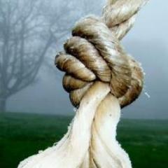 pauldosaj's profile picture. I edit and produce films.