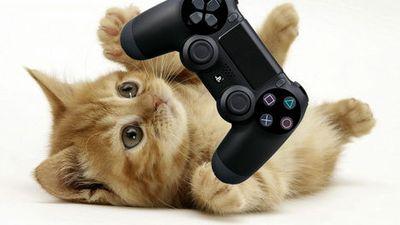 inuyasha23's profile picture. AEW and TJPW are the best promotions.
cat, music, anime and video game lover
Fly Eagles Fly