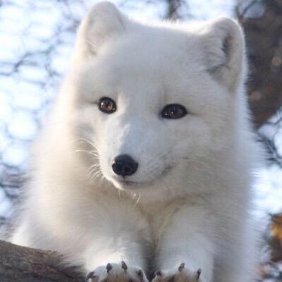 nyapapa0's profile picture. 