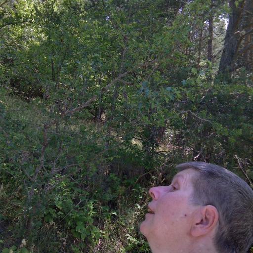 AnselmeBatrice's profile picture. Grandes cultures