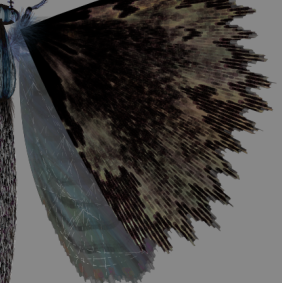 mothgenerator Profile Picture