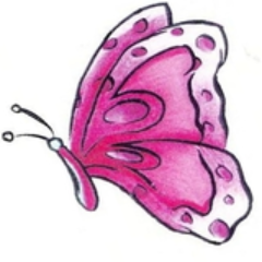 CurvyGurlUK's profile picture. Plus Sized Clothing, Affordable & Excellent Quality, Currently in Development - Follow us for news and updates