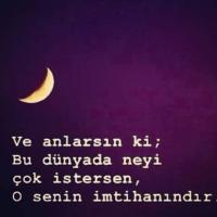 Dilek Şahin (@sinif3) 's Twitter Profile