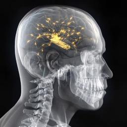 david_h_a_l's profile picture. History of a near futur