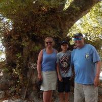 Nick (@nick4266) 's Twitter Profile Photo