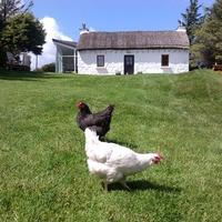 Samantha Ibbs (@samcouzens76) 's Twitter Profile Photo