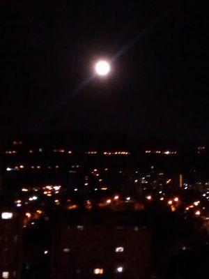 Catarpov's profile picture. 