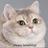 CoryKilduff's avatar
