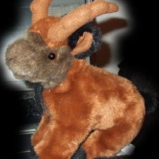 maunzekatzerle's profile picture. Teamassistentin CR, Romanistin (M.A.), studiert Data Sience, grüne Ex-Kommunalpolitikerin, Tierfreundin, Karos!, Musikjunkie,  variatio delectat!