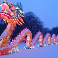 Anna Postma 🦆 (@annaike) 's Twitter Profile Photo