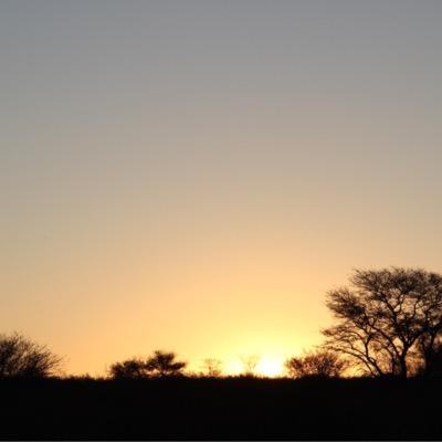 janvanstaden's profile picture. 