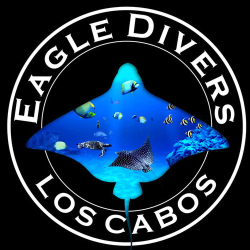 We are a dive shop with more than 11 years of experience on diving in Cabo San Lucas, Cabo Pulmo, Gordo Banks, La Paz in the Sea of Cortez