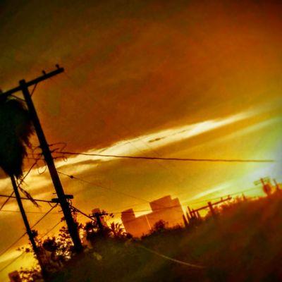 lotto_boy21's profile picture. 