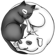 Mauz & Wauz delivers surprise boxes to cat, dog and small animal owners on a monthly subscription base.