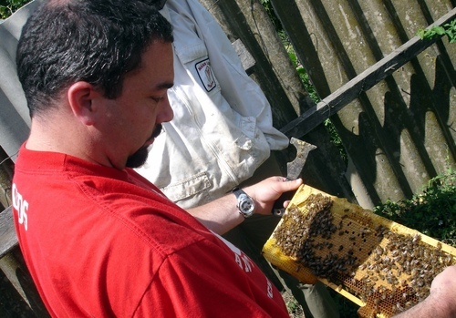 garrettdodds's profile picture. 