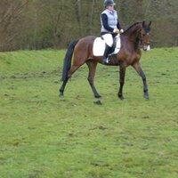 Beth Beales (@bethabeales) 's Twitter Profile