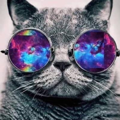 yfouad55's profile picture. أّلَمَتّأّبِعٌةّ مَأّ تّګهِربِ صٌدِګوِنِيِّ