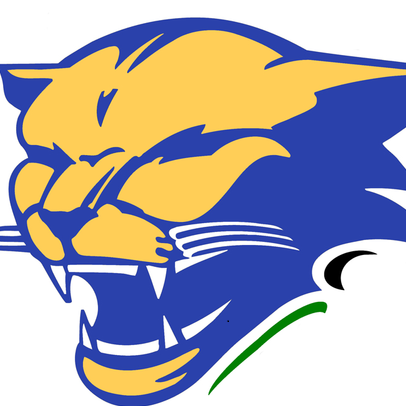 CombsCougars's profile picture. 