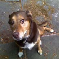 tomiko oskotsky (@tomiko22) 's Twitter Profile Photo tomiko oskotsky (@tomiko22) 's Twitter Profile Photo