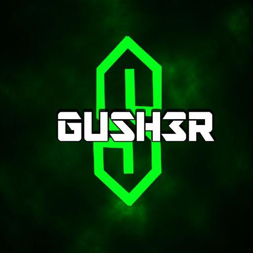 Ac3oGuSh3R's profile picture.