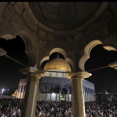 abuharoon1948's profile picture. https://t.co/9gu1rWVeAC