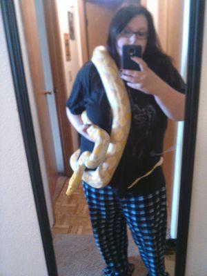 JessicaKayser94's profile picture. Reptile Enthusiast/Keeper/Breeder, Gamer, Animal Lover,  Nature Lover, Artist.