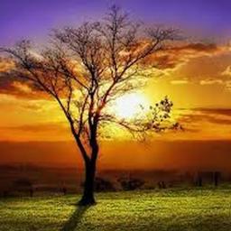 Pangerantoto2 Tongkat Kayu