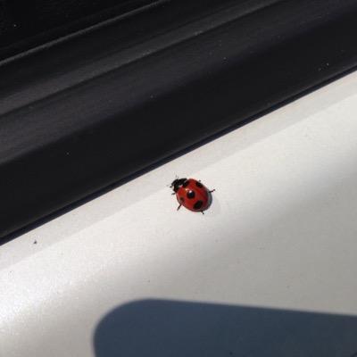 m1_00_1m's profile picture. 