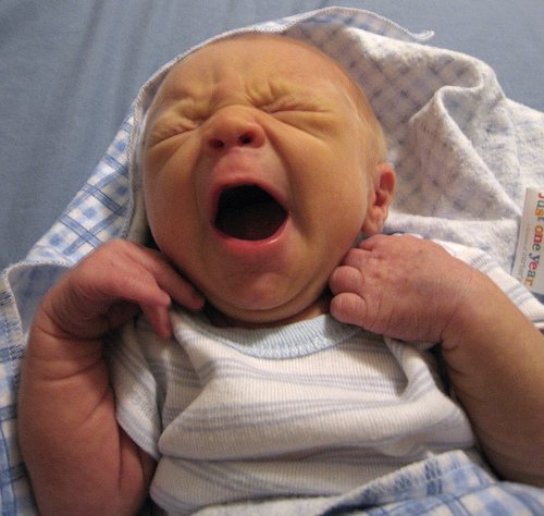 Insurance_Life's profile picture. 