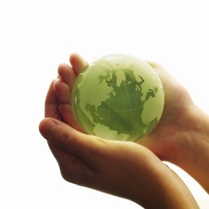 The Green Club has been launched to discuss Lifestyle Innovation: Going Vegetarian for Sustainability and Healthy Living.
