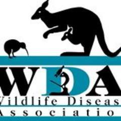 The Australasian section of the @WildlifeDisease Association.Tweeting about #wildlife #health #disease #ecology #conservation #onehealth