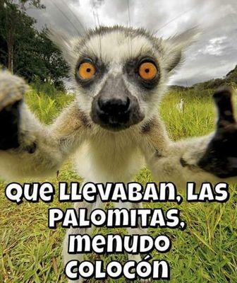 Jasminapitiqa's profile picture. .