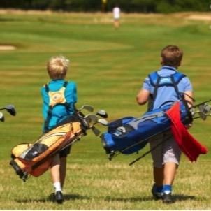 protectTVsport's profile picture. Follow the campaign against the RandA's decision to sell off The Open on TV for all. The man above is Peter Dawson. He sold The Open to Sky. He's retiring soon.